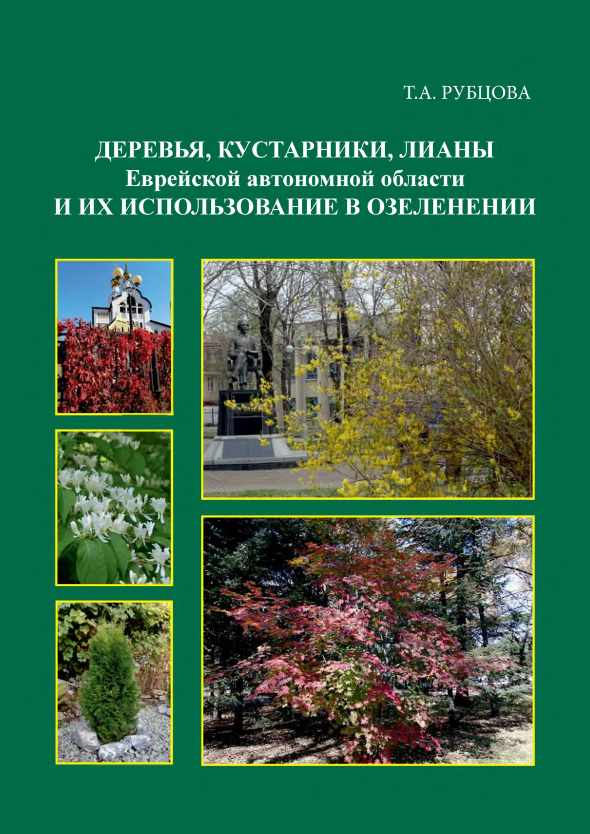 Feature image